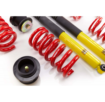 Kit roscado MTS TECHNIK Street Gold Mercedes-Benz 190 (W201)  Año: 10/82 - 08/93 Con TUV  SIN Copelas parte delantera - SIN Cope