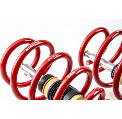 Kit roscado MTS TECHNIK Street Gold Seat TARRACO (KN2)  Año: 09/18 - Sin TUV  SIN Copelas parte delantera - SIN Copelas parte tr