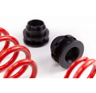 Kit roscado MTS TECHNIK Street Gold Audi TT (8J)  Año: 08/06 - 06/14 Con TUV  SIN Copelas parte delantera - SIN Copelas parte tr