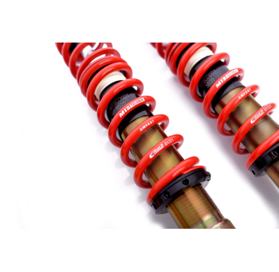 Kit roscado MTS TECHNIK Street Gold Seat AROSA (6H)  Año: 05/97 - 06/04 Con TUV  SIN Copelas parte delantera - SIN Copelas parte