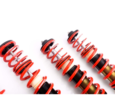 Kit roscado MTS TECHNIK Sport Gold Volkswagen PASSAT B3/B4 (3A2/35I)  Año: 02/88 - 12/97 Con TUV  SIN Copelas parte delantera -