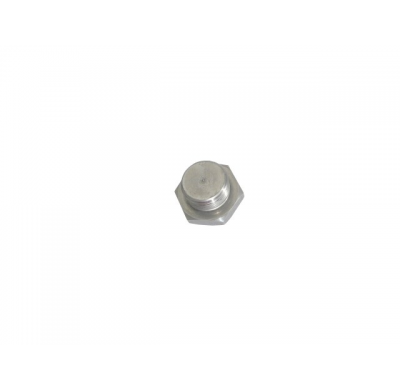 Tornillo Para Tapar Sonda Lambda Con Rosca 18 X 1,5 Mm
  Universal Tuercas - Tornillos Viti Ragazzon