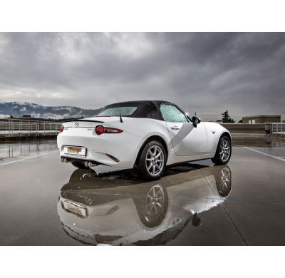 Tramo Sustitución Segundo Catalizador Grupo N Acero Inox  
 Línea Con Diámetro Mejorado 60 Mm 
 Es Necesario Reprogramar La Cent