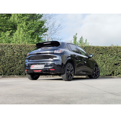 Tramo intermedio grupo N en acero inox  
 
 
 - Peugeot 208 Mk2 2019>> 1.2 PureTech130 (96kW) 2019>> Ragazzon