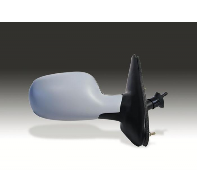 Renault Megane 99-*Esp Dch Manual Para Pintar C/Sensor