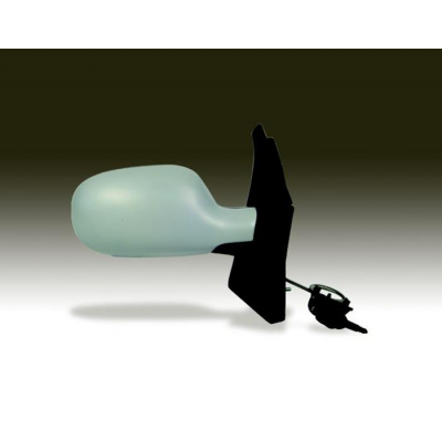 Renault Scenic 99-*Esp/Dr Manual Para Pintar S/Temp