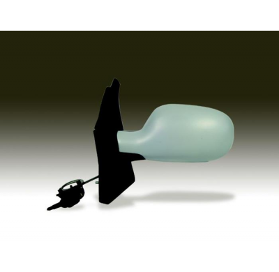 Renault Scenic 99-*Esp/Izq Manual Para Pintar Asf