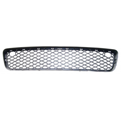 Bmw X5 E70 06-*Rejilla Paragolpes Delant. Inf Para Pintar