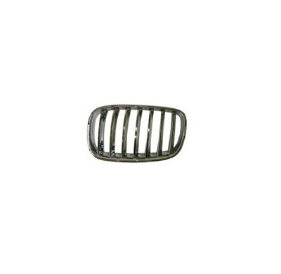 Bmw X5 E70 07-*Rejilla Dch(Cromada)