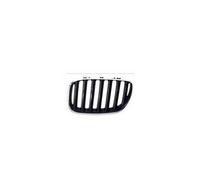Bmw X5 E53 04-06*rejilla Esq(Cromada/Negra)