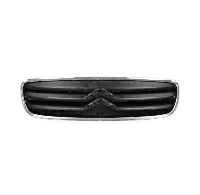 Citroen C2 08-*Rejilla Borde Cromado