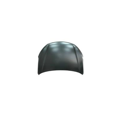 Hyundai Santa Fe 13-*Capo