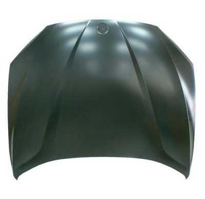 Bmw X1 09-*Capo(Chapa)