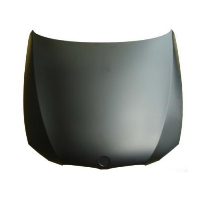 Bmw S/3 E92 Coupe 06-*Capo(Chapa)