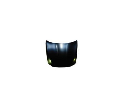 Bmw S/5 F10 10-*Capo(Chapa)