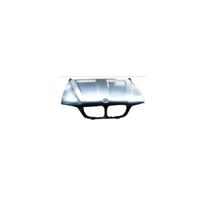 Bmw X5 E53 04-*Capo(2 Serie)