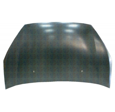 Ford Focus S-Max 06-*Capo