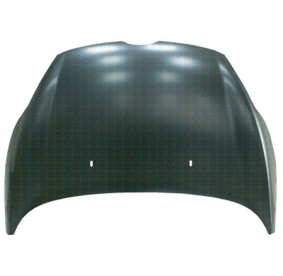 Ford Fiesta 08-*Capo