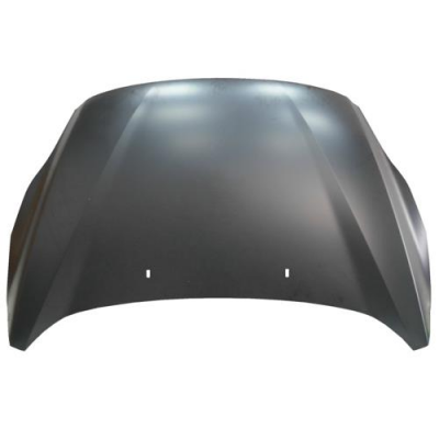 Ford C-Max 10-*Capo(Chapa)