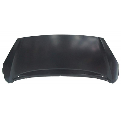 Peugeot 1007 04-*Capot