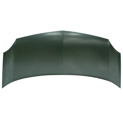 Renault Kangoo 2008-*Capo