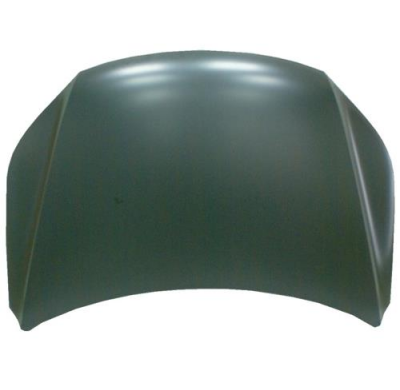 Vw Tiguan 08-*Capo(Chapa)