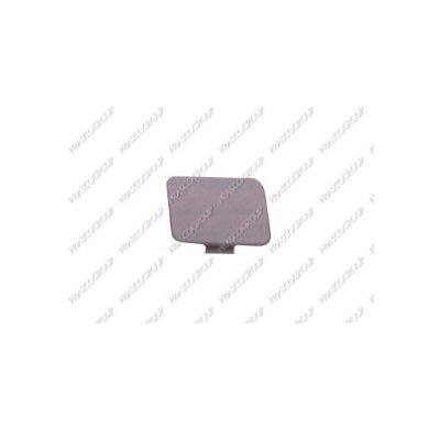 Tapagancho Delantero