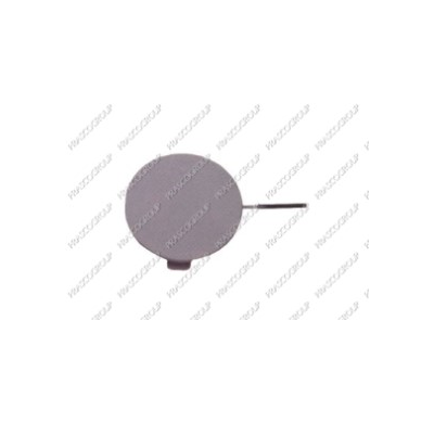 Tapagancho Delantero