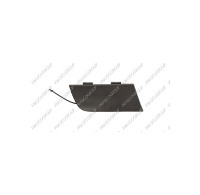 Tapagancho Delantero