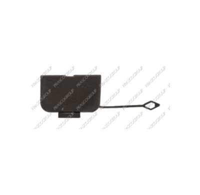 Tapagancho Delantero  Bmw E46 01>05