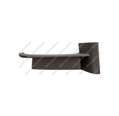 Rejilla Izquierda Parachoques Delantero