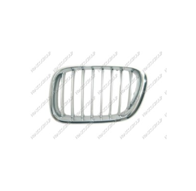 Rejilla Crom-Gris Bmw X5 I.00>