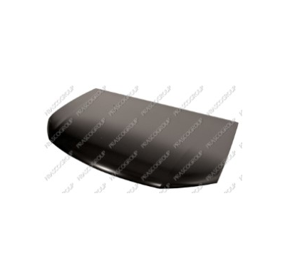 Capo Dacia Sandero 13>