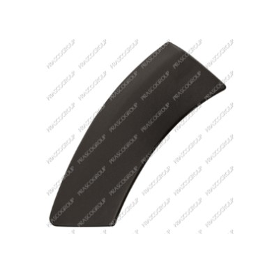 Punta Derecha Paragolpes Trasero