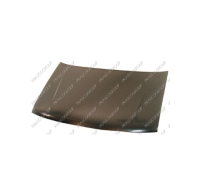 Capo Chrys.Voyager Del. 93-95