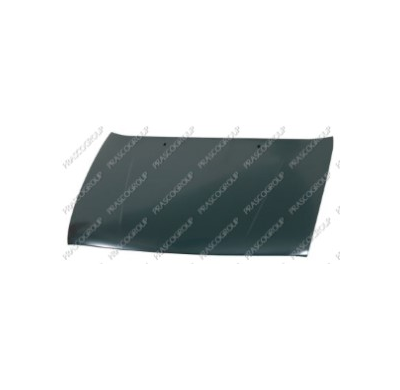 Capo Fiesta Del. 98>99