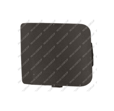 Tapagancho Delantero