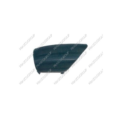 Rejilla Parach.Focus Del.Dch. 01>05