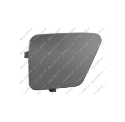 Tapagancho Delantero