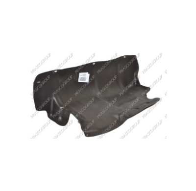 Protecion  Lateral Motor Derecho