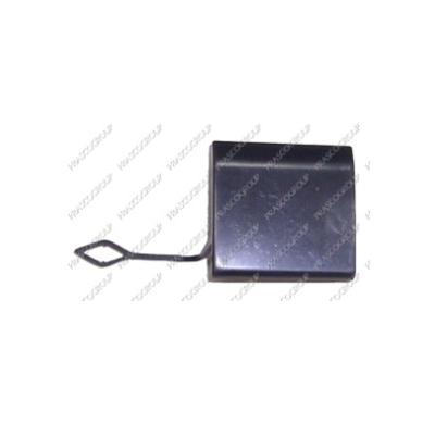 Tapagancho Delantero