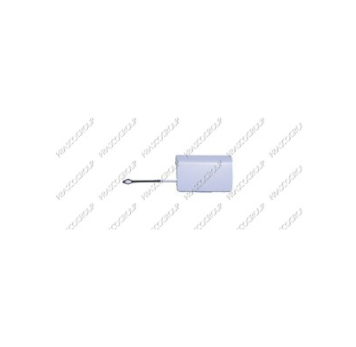 Tapa Parachoques Trasero