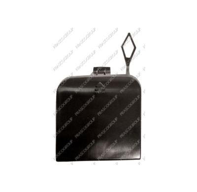 Tapagancho Delantero