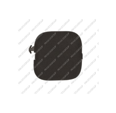 Tapagancho Delantero