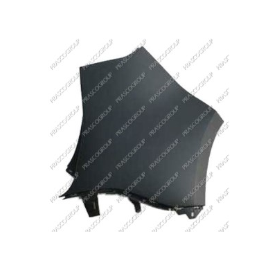 Punta Dch.Parach.Trasera Scenic 09>