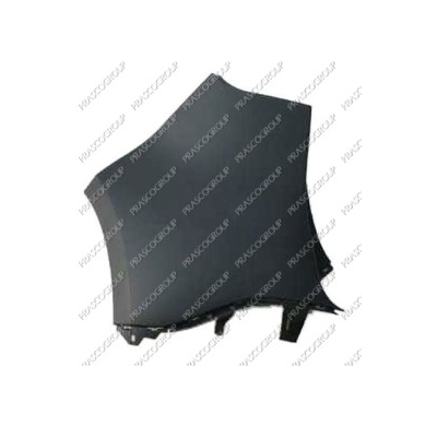 Punta Izq.Parach.Trasera Scenic 09>