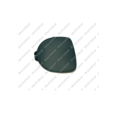 Tapa Faro Niebla Clio Del.Izq. 98>