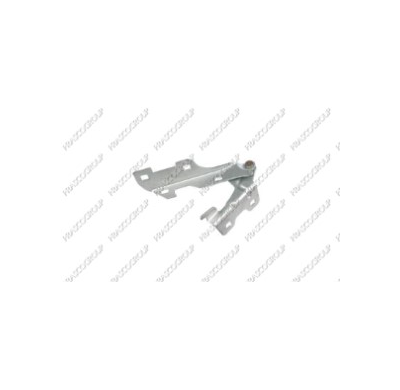 Bisagra Capo Clio Del.Dch. 01>