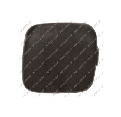 Tapagancho Parachoques Delantero Izquierdo