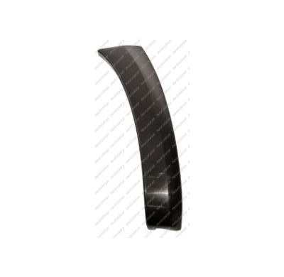 Punta Derecha Paragolpes Delantero Rav 4 06>08